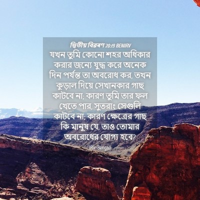 Picture 04 - দ্বিতীয় বিৱৰণ 20:19 BENIRV - যখন তুমি কোনো শহর - Bible Verse Picture