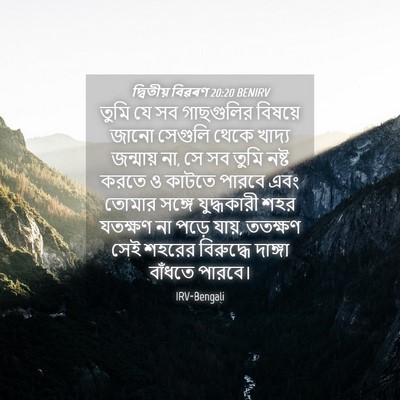 Picture 04 - দ্বিতীয় বিৱৰণ 20:20 BENIRV - তুমি যে সব - Bible Verse Picture