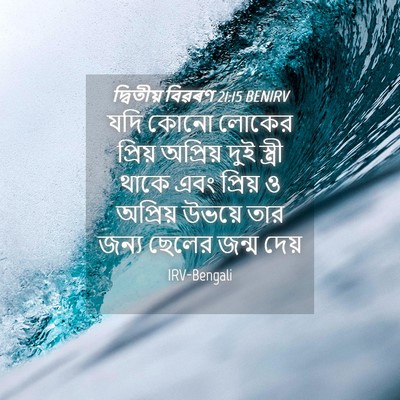 Picture 04 - দ্বিতীয় বিৱৰণ 21:15 BENIRV - যদি কোনো লোকের - Bible Verse Picture