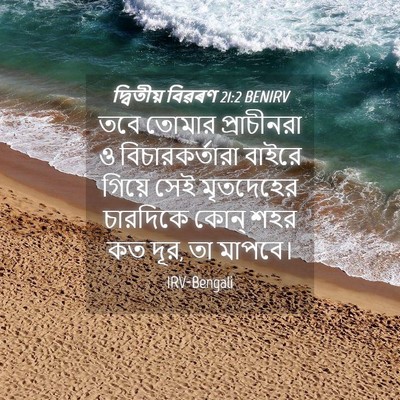 Picture 04 - দ্বিতীয় বিৱৰণ 21:2 BENIRV - তবে তোমার - Bible Verse Picture