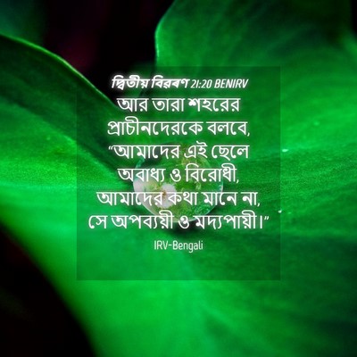 Picture 04 - দ্বিতীয় বিৱৰণ 21:20 BENIRV - আর তারা শহরের - Bible Verse Picture