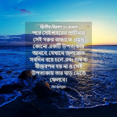 Picture 04 - দ্বিতীয় বিৱৰণ 21:4 BENIRV - পরে সেই শহরের - Bible Verse Picture