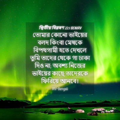 Picture 04 - দ্বিতীয় বিৱৰণ 22:1 BENIRV - তোমার কোনো - Bible Verse Picture