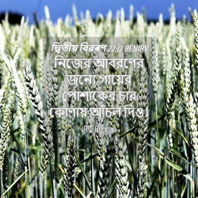 Picture 04 - দ্বিতীয় বিৱৰণ 22:12 BENIRV - নিজের আবরণের - Bible Verse Picture