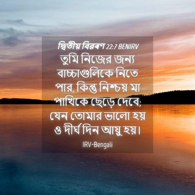 Picture 04 - দ্বিতীয় বিৱৰণ 22:7 BENIRV - তুমি নিজের জন্য - Bible Verse Picture