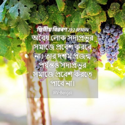 Picture 04 - দ্বিতীয় বিৱৰণ 23:2 BENIRV - অবৈধ লোক - Bible Verse Picture