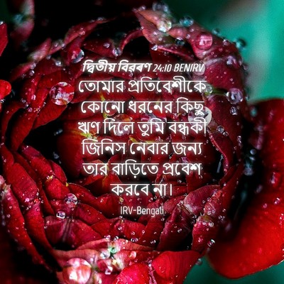 Picture 04 - দ্বিতীয় বিৱৰণ 24:10 BENIRV - তোমার প্রতিবেশীকে - Bible Verse Picture