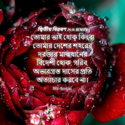 Picture 04 - দ্বিতীয় বিৱৰণ 24:14 BENIRV - তোমার ভাই হোক - Bible Verse Picture