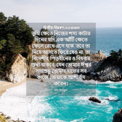 Picture 04 - দ্বিতীয় বিৱৰণ 24:19 BENIRV - তুমি ক্ষেতে নিজের - Bible Verse Picture
