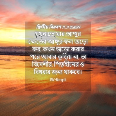 Picture 04 - দ্বিতীয় বিৱৰণ 24:21 BENIRV - যখন তোমার আঙ্গুর - Bible Verse Picture