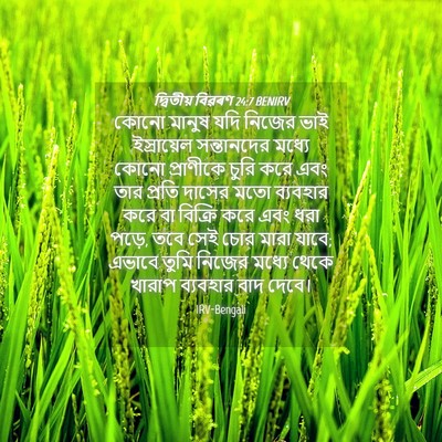 Picture 04 - দ্বিতীয় বিৱৰণ 24:7 BENIRV - কোনো মানুষ যদি - Bible Verse Picture