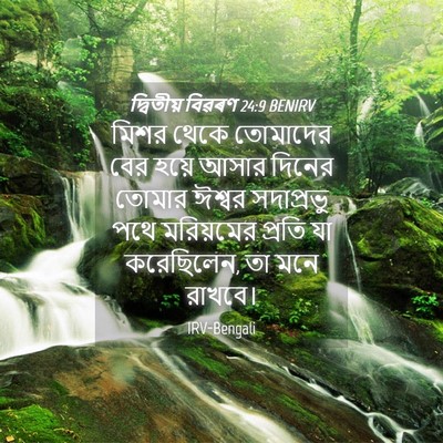 Picture 04 - দ্বিতীয় বিৱৰণ 24:9 BENIRV - মিশর থেকে তোমাদের - Bible Verse Picture