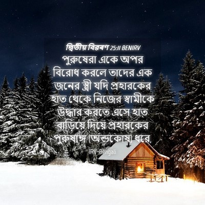 Picture 04 - দ্বিতীয় বিৱৰণ 25:11 BENIRV - পুরুষেরা একে অপর - Bible Verse Picture