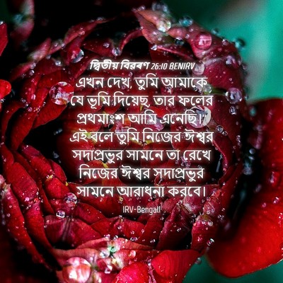 Picture 04 - দ্বিতীয় বিৱৰণ 26:10 BENIRV - এখন দেখ, তুমি আমাকে - Bible Verse Picture