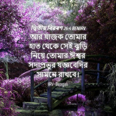 Picture 04 - দ্বিতীয় বিৱৰণ 26:4 BENIRV - আর যাজক তোমার হাত - Bible Verse Picture