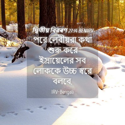 Picture 04 - দ্বিতীয় বিৱৰণ 27:14 BENIRV - পরে লেবীয়রা কথা - Bible Verse Picture