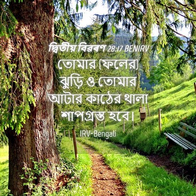 Picture 04 - দ্বিতীয় বিৱৰণ 28:17 BENIRV - তোমার (ফলের) ঝুড়ি - Bible Verse Picture