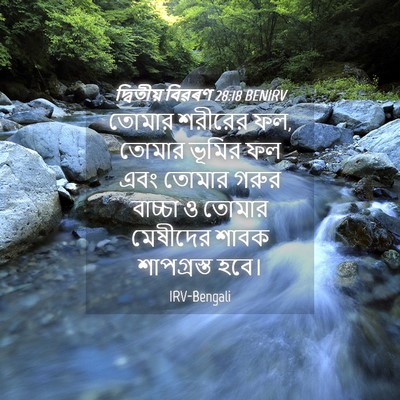Picture 04 - দ্বিতীয় বিৱৰণ 28:18 BENIRV - তোমার শরীরের ফল, - Bible Verse Picture