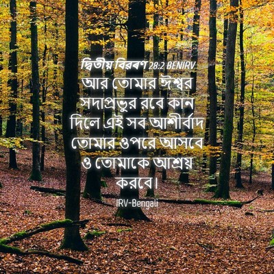 Picture 04 - দ্বিতীয় বিৱৰণ 28:2 BENIRV - আর তোমার ঈশ্বর - Bible Verse Picture