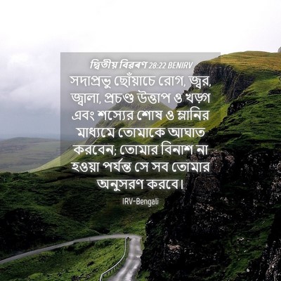 Picture 04 - দ্বিতীয় বিৱৰণ 28:22 BENIRV - সদাপ্রভু ছোঁয়াচে - Bible Verse Picture