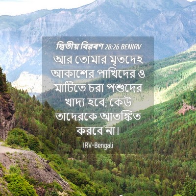 Picture 04 - দ্বিতীয় বিৱৰণ 28:26 BENIRV - আর তোমার মৃতদেহ - Bible Verse Picture