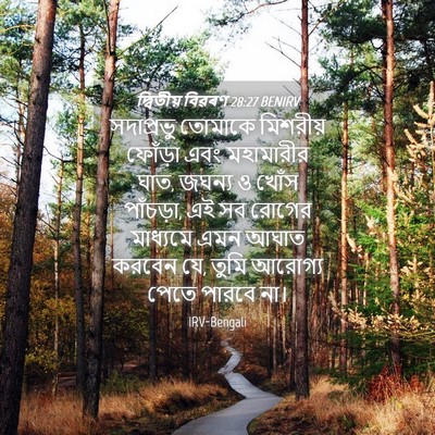 Picture 04 - দ্বিতীয় বিৱৰণ 28:27 BENIRV - সদাপ্রভু তোমাকে - Bible Verse Picture