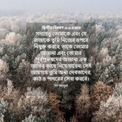 Picture 04 - দ্বিতীয় বিৱৰণ 28:36 BENIRV - সদাপ্রভু তোমাকে - Bible Verse Picture