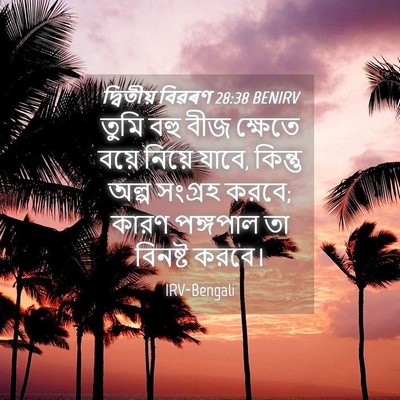 Picture 04 - দ্বিতীয় বিৱৰণ 28:38 BENIRV - তুমি বহু বীজ - Bible Verse Picture