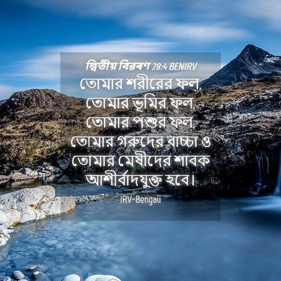 Picture 04 - দ্বিতীয় বিৱৰণ 28:4 BENIRV - তোমার শরীরের ফল, - Bible Verse Picture