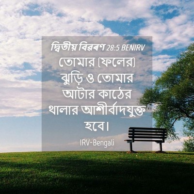 Picture 04 - দ্বিতীয় বিৱৰণ 28:5 BENIRV - তোমার (ফলের) ঝুড়ি - Bible Verse Picture