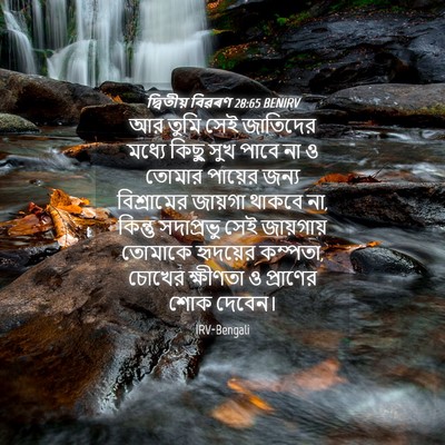 Picture 04 - দ্বিতীয় বিৱৰণ 28:65 BENIRV - আর তুমি সেই - Bible Verse Picture