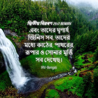 Picture 04 - দ্বিতীয় বিৱৰণ 29:17 BENIRV - এবং তাদের ঘৃণার্হ - Bible Verse Picture