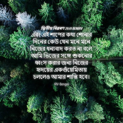 Picture 04 - দ্বিতীয় বিৱৰণ 29:19 BENIRV - এবং এই শাপের কথা - Bible Verse Picture