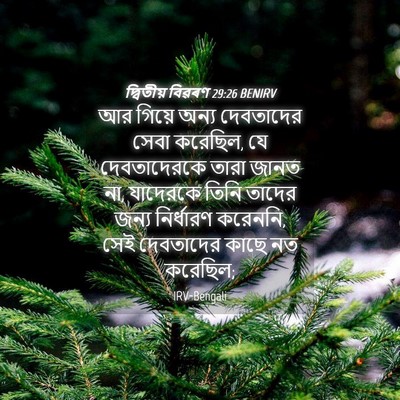 Picture 04 - দ্বিতীয় বিৱৰণ 29:26 BENIRV - আর গিয়ে অন্য - Bible Verse Picture