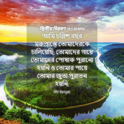 Picture 04 - দ্বিতীয় বিৱৰণ 29:5 BENIRV - আমি চল্লিশ বছর - Bible Verse Picture