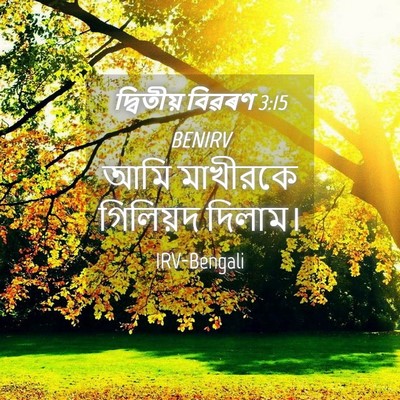 Picture 04 - দ্বিতীয় বিৱৰণ 3:15 BENIRV - আমি মাখীরকে - Bible Verse Picture
