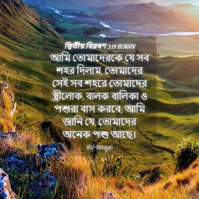 Picture 04 - দ্বিতীয় বিৱৰণ 3:19 BENIRV - আমি তোমাদেরকে যে - Bible Verse Picture