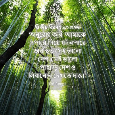 Picture 04 - দ্বিতীয় বিৱৰণ 3:25 BENIRV - অনুরোধ করি, আমাকে - Bible Verse Picture