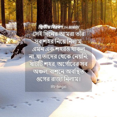 Picture 04 - দ্বিতীয় বিৱৰণ 3:4 BENIRV - সেই দিনের আমরা - Bible Verse Picture
