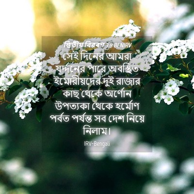 Picture 04 - দ্বিতীয় বিৱৰণ 3:8 BENIRV - সেই দিনের আমরা - Bible Verse Picture