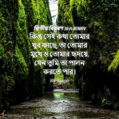 Picture 04 - দ্বিতীয় বিৱৰণ 30:14 BENIRV - কিন্তু সেই কথা - Bible Verse Picture