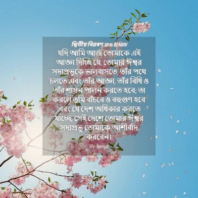 Picture 04 - দ্বিতীয় বিৱৰণ 30:16 BENIRV - যদি আমি আজ তোমাকে - Bible Verse Picture