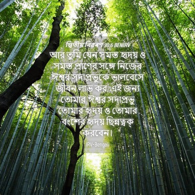 Picture 04 - দ্বিতীয় বিৱৰণ 30:6 BENIRV - আর তুমি যেন সমস্ত - Bible Verse Picture
