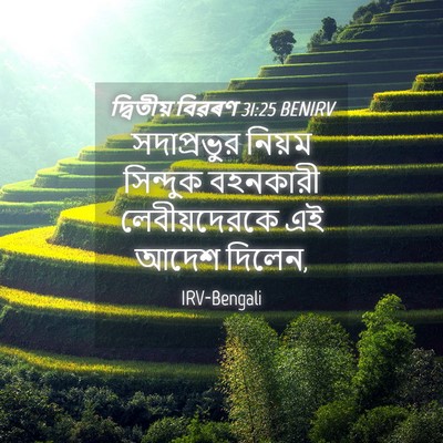 Picture 04 - দ্বিতীয় বিৱৰণ 31:25 BENIRV - সদাপ্রভুর নিয়ম - Bible Verse Picture