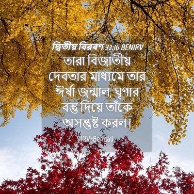 Picture 04 - দ্বিতীয় বিৱৰণ 32:16 BENIRV - তারা বিজাতীয় - Bible Verse Picture