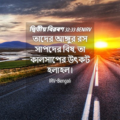 Picture 04 - দ্বিতীয় বিৱৰণ 32:33 BENIRV - তাদের আঙ্গুর রস - Bible Verse Picture