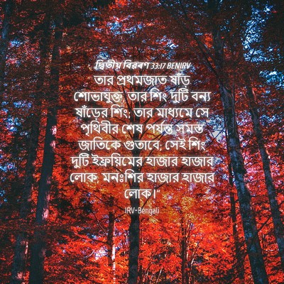 Picture 04 - দ্বিতীয় বিৱৰণ 33:17 BENIRV - তার প্রথমজাত - Bible Verse Picture