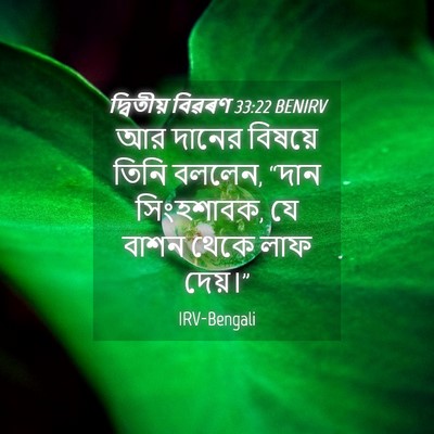 Picture 04 - দ্বিতীয় বিৱৰণ 33:22 BENIRV - আর দানের বিষয়ে - Bible Verse Picture