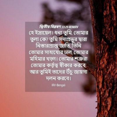 Picture 04 - দ্বিতীয় বিৱৰণ 33:29 BENIRV - হে ইস্রায়েল। - Bible Verse Picture