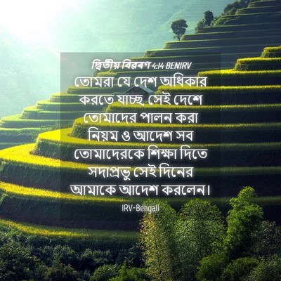 Picture 04 - দ্বিতীয় বিৱৰণ 4:14 BENIRV - তোমরা যে দেশ - Bible Verse Picture